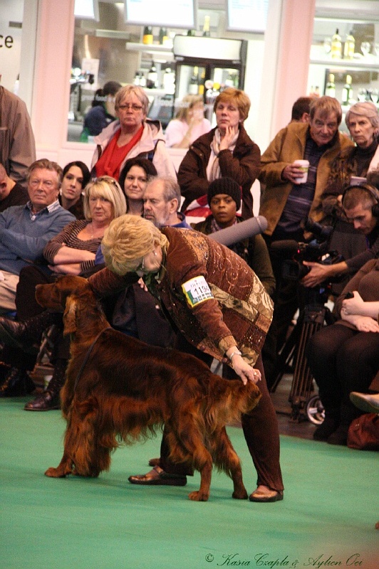 Crufts2011_2 085.jpg